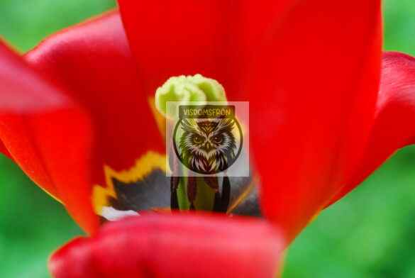 HLI_0014