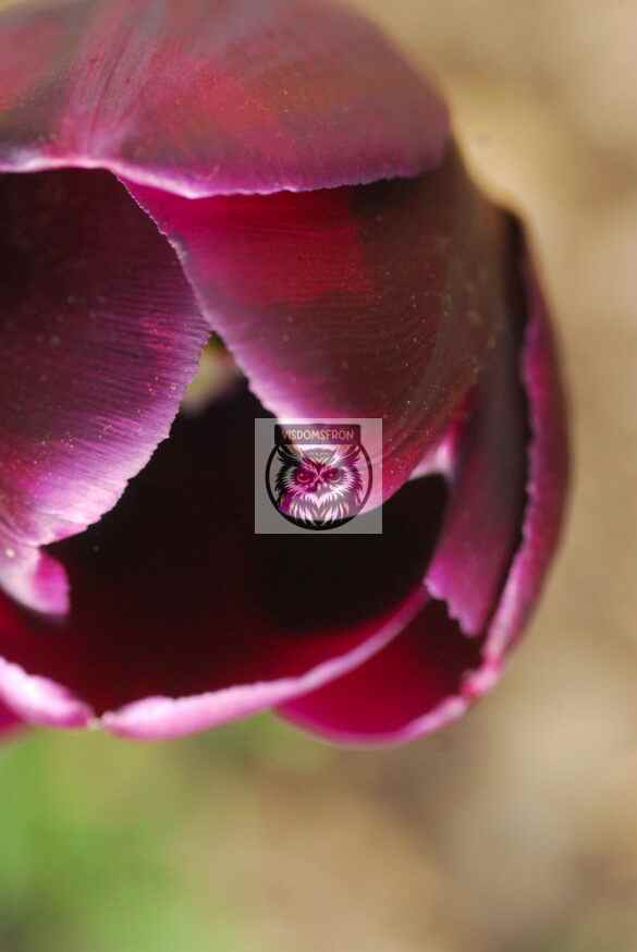 HLI_0048