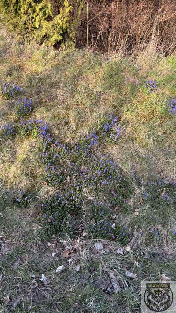 IMG_4657
